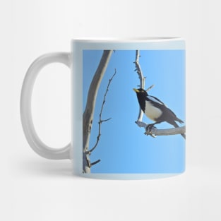 Wild birds, magpie, wildlife, A California Gem Mug